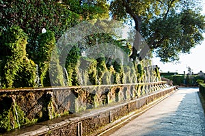 Cento fontane and corridor in Villa D-este at Tivoli - Rome