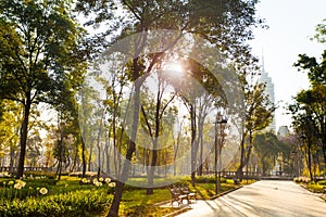 Central Alameda park morning in Mexico city photo