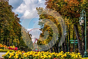 Central alley of Maxim Gorky Central Park for Culture and Recreation in Kharkov