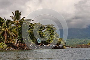 Central American Islet