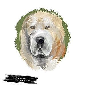 Central Asian Shepherd Dog breed isolated on white background digital art illustration. Cute pet hand drawn portrait