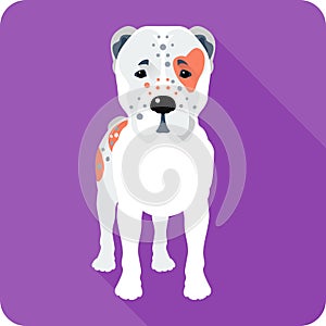 Central Asian Shepherd Dog icon flat design photo
