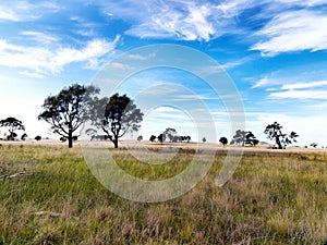 Central Australia