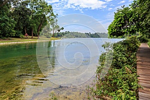 Central Catchment Nature Reserve MacRitchie