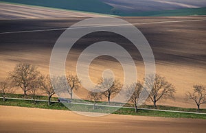 Central Europe. A black car rides among a multicolored hilly field. Landscape with a shiny black car, multi-colored plowed field a photo