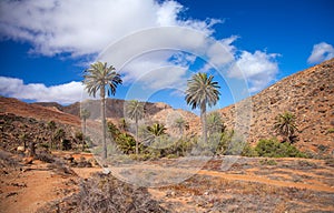 Central Fuerteventura, Barranco de las Penitas photo