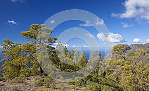 Central Gran Canaria photo