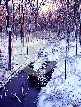Central Illinois Winter Forest Stream