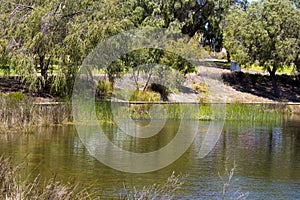 The Central lakes at Dalyellup, WesternAustralia in spring.