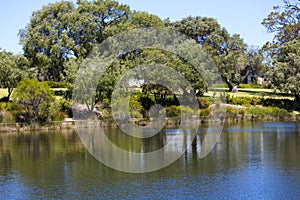 The Central lakes at Dalyellup, WesternAustralia in spring.