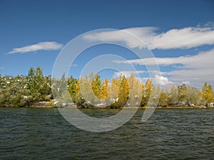 Central Mongolia landscape, Selenge river