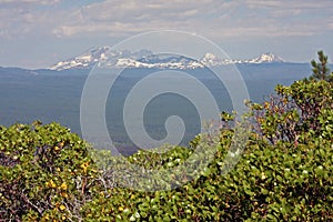 Central Oregon Cascades framed by Manzanita