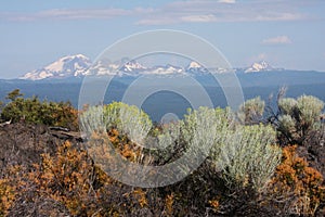 Central Oregon Cascades with Rabbitbrush photo