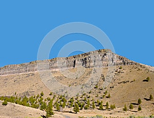 Central Oregon High Desert
