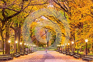 Central Park Autumn