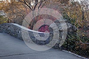 Central Park autumn Gapstow bridge
