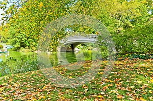 Central Park in autumn in New York