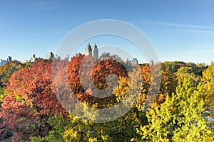 Central Park, Autumn, New York