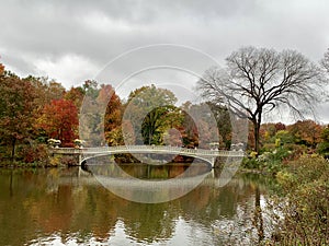 Central Park in the autumn, New York City