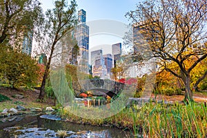 Central Park during autumn in New York City