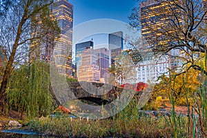 Central Park during autumn in New York City