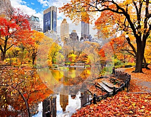 Central Park in autumn, New York City