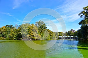 Central Park in autumn in New York City