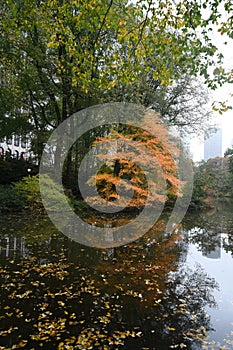 Central Park in the autumn, New York City, USA.