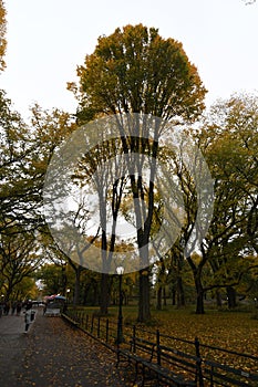 Central Park in the autumn, New York City, USA.