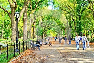 Central Park in autumn in New York