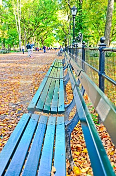 Central Park in autumn in New York