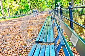 Central Park in autumn in New York