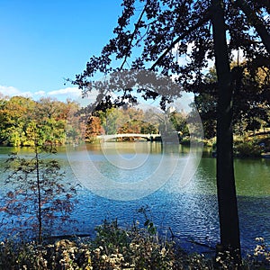 Central park autumn nyc