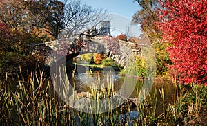 Central Park autumn scene by the lake