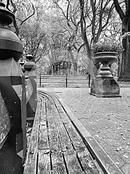 Central Park black and white