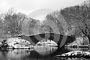 Central Park Bridge