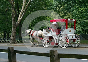 Central Park Carriage Ride New York USA photo