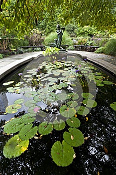 Central Park conservatory gardens