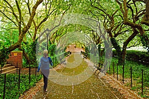 Central Park Conservatory Gardens