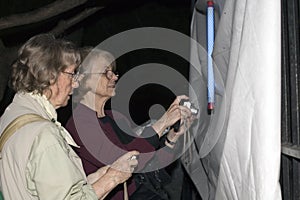 Central Park in the Dark