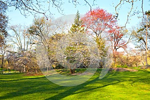 Central Park at early spring