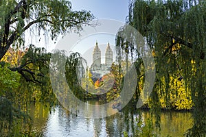 Central Park Fall Landscape in New York City