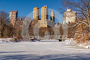 Central Park Lake and Bow Bridge in Winter, New York