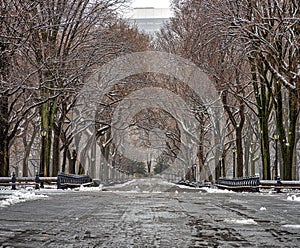 Central Park the Mall