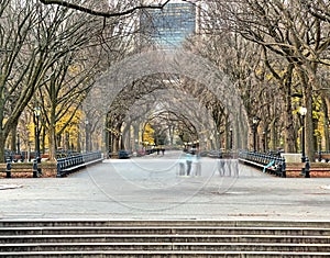 Central Park the Mall,late autumn