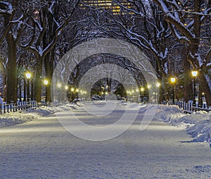 Central Park the Mall after snow storm