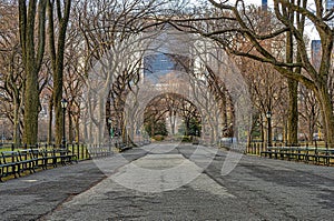 Central Park the Mall in winter