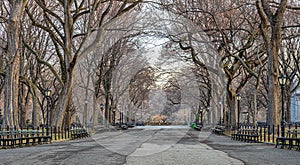 Central Park the Mall in winter