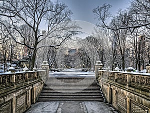 Central Park Mall in winter