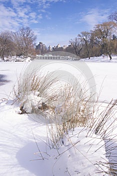 Central Park, Manhattan, New York City, NY after winter snowstorm photo